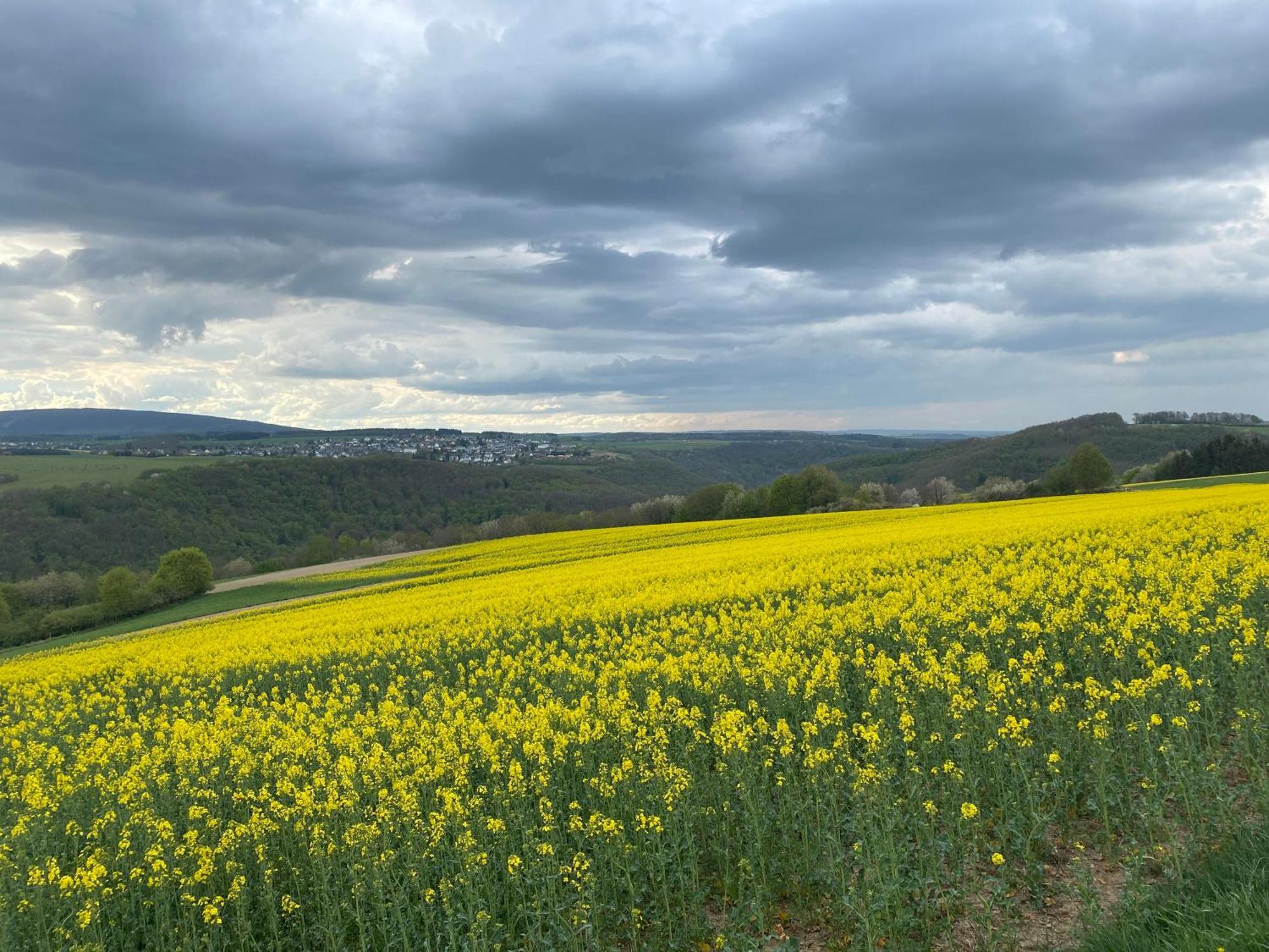 Hunsrueck Valley View Apartment With Cedar Sauna Bruschied 외부 사진